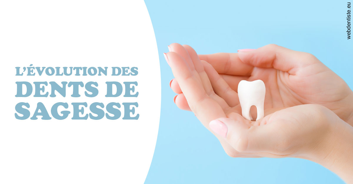 https://dr-jeannenot-luc.chirurgiens-dentistes.fr/Evolution dents de sagesse 1