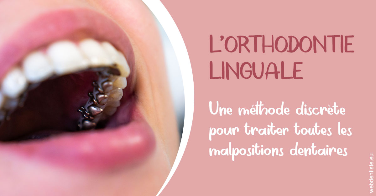 https://dr-jeannenot-luc.chirurgiens-dentistes.fr/L'orthodontie linguale 2