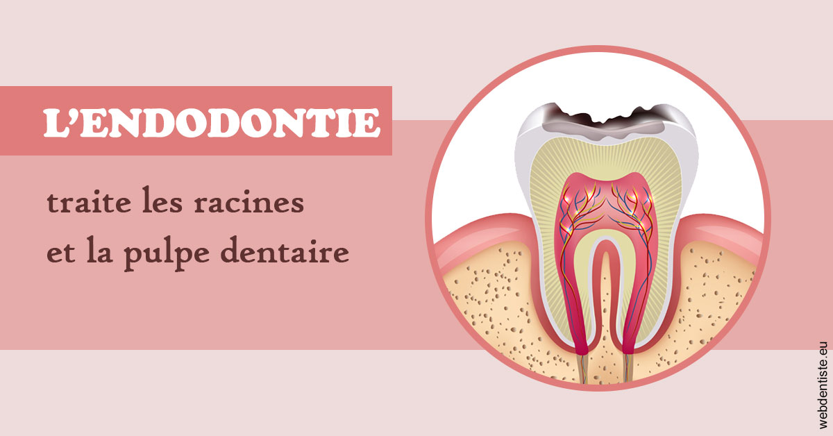 https://dr-jeannenot-luc.chirurgiens-dentistes.fr/L'endodontie 2