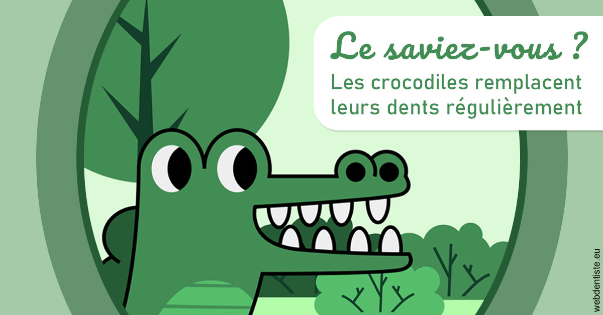 https://dr-jeannenot-luc.chirurgiens-dentistes.fr/Crocodiles 2