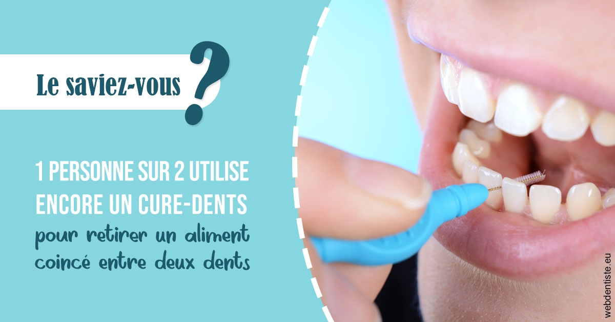 https://dr-jeannenot-luc.chirurgiens-dentistes.fr/Cure-dents 1