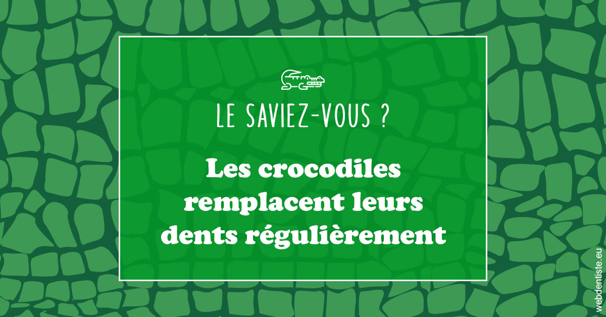 https://dr-jeannenot-luc.chirurgiens-dentistes.fr/Crocodiles 1